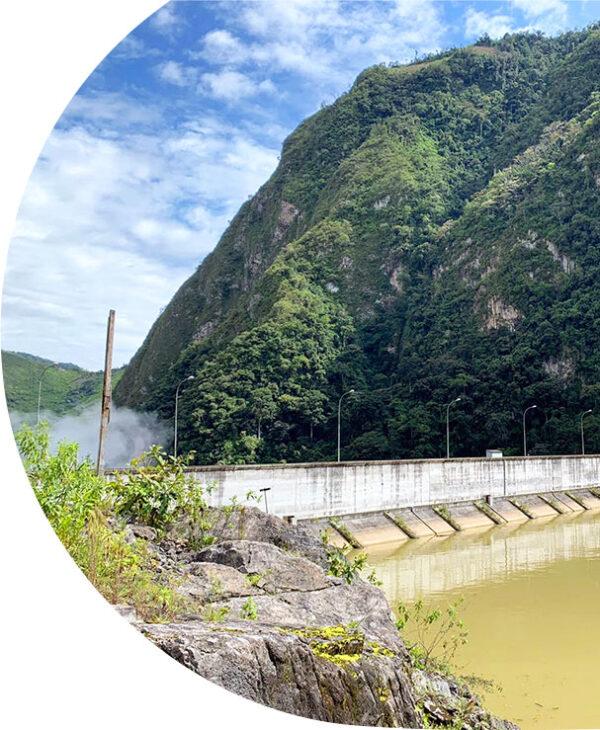 TechnologyBased Solutions ALLCOT